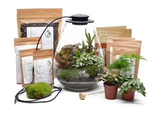 Terrarium with GROW LIGHT Glass Plants Moss DIY Terrarium Kit - Picture 1 of 6