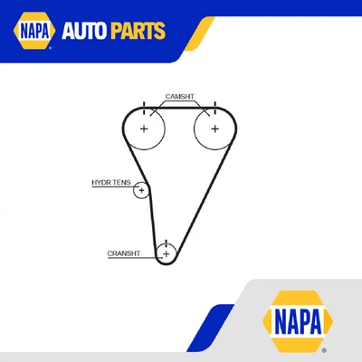 Racing Timing Belt T215RB Gates 1356846021 1356846030 1356846035 1356849035 New - Image 1 of 4