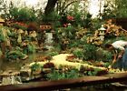 Japanese Garden, Chelsea Flower Show : Vintage Postcard
