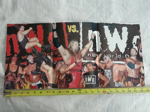 Goldberg/NWO WWF/WWE Double-Sided Original Poster Cover
