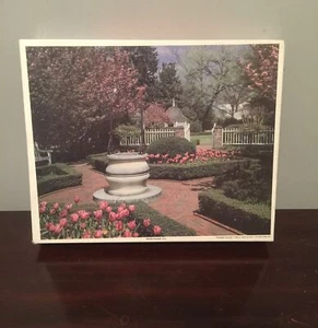 WHITMAN - Tryon NC - 1000-PIECE JIGSAW PUZZLE 21.5" x 27.5". (c1) - Picture 1 of 7