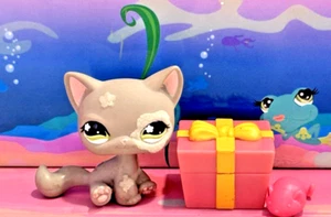 LITTLEST PET SHOP LPS AUTHENTIC GREY FLOWER FLOCKED SITTING CAT #467 - Picture 1 of 4