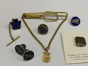 Lote de prendedores mixtos de colección agricultura FFA PFA Ruritan 4H Amway y más - Imagen 1 de 10