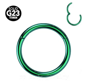 G23 Titanium Hinged Seamless Segment Ring Hoop Nose Ring Earring Labret Septum  - Picture 1 of 11