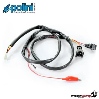 Elektronischen Steuereinheit von Polini Aprilia Sportcity Street 300 - Bild 1 von 4