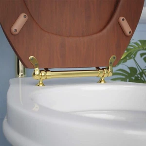 Polished Brass Toilet Seat Hinge Replacement Hinge Renovators Supply - Picture 1 of 8