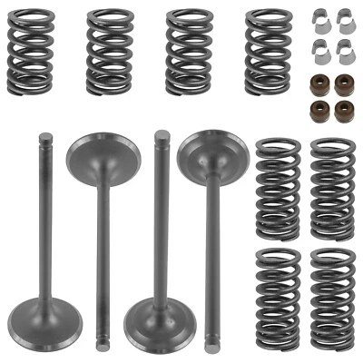 Kit de válvula de admisión y escape de cilindro para Honda Rincon 650 TRX650R 2003-2005 Foto 1 de 4