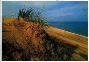 Mount Baldy Marram Grass, Indiana Dunes National Lakeshore Postcard - Picture 1 of 2
