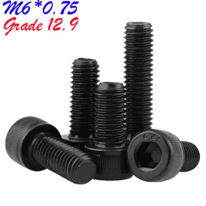 M6 0.75 Fine Thread Allen Hex Socket Head Cap Screws Bolt Grade 12.9 Alloy Steel - Picture 1 of 12