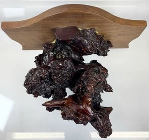 Live Edge Wurzelholz Regal geschweift braun gedreht rustikal Wandbehang - Bild 1 von 15