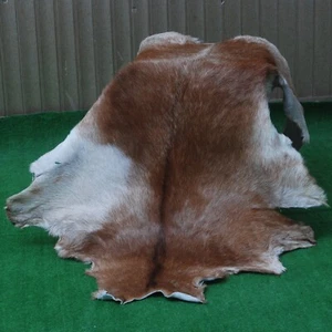 Premium Tan Goatskin Rug – 100% Natural Hair-On Hide, Soft & Durable - Picture 1 of 9