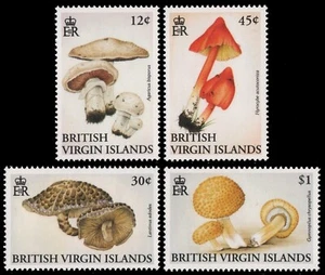 Islas Vírgenes 1992 - Mi-Nr. 755-758 ** - Estampillada sin montar o nunca montada - setas / setas - Imagen 1 de 1
