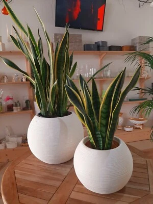 VASO ROTONDO SHABBY SFERA CASPO' RIGATA MODERNO IN RESINA ø30xh34cm vari colori - Immagine 1 di 3