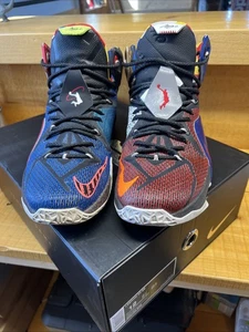 Größe 12 - Nike LeBron "The Twelve" XII SE (2015) mit Karton - Bild 1 von 21