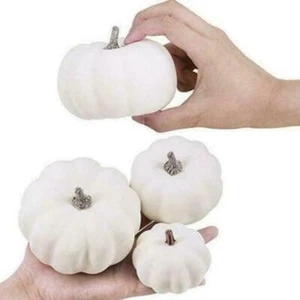 12X Weiße-Deko, Deko-Kürbisse, Halloween Speisekürbisse, Zierkürbisse- O1Q0 X3R1 - Bild 1 von 7