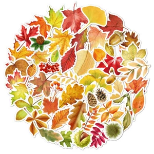 50er-Pack Herbst Herbst Blätter Ahorn Aufkleber Vinyl Laptop Sammelalbum Umschläge Abziehbild - Bild 1 von 5