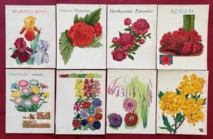 VIBRANTLY COLORED GARDEN FLOWERS ORIGINAL WATERCOLOR ART ON BOARDS - 8 DIFFERENT - Picture 1 of 9
