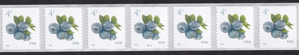 Scott #5653 Blueberries Plate # Coil (PNC7) of 7 Stamps - MNH - Image 1 of 1