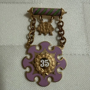 Daughters of Rebekah IOOF 35 Year Service Medal California Brooch Pin - Picture 1 of 10