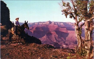 O'neill Butte Grand Canyon Nationalpark Arizona Postkarte unbesendet - Bild 1 von 2