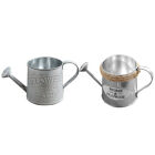  2 Pcs Plant Stand Indoor Tin Watering Can Kettle Decor Tool