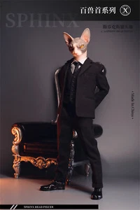 Mostoys 1/6 Sphynx Head Figure Canadian Hairless Cat Animal Decor Soldier Model - Picture 1 of 30