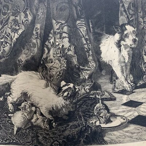 Original 1870 "Un Importun" von Philippe Rousseau signierte Radierung - Bild 1 von 8