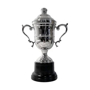 Silver Trophy Cup with lid 17cm - Ideal Award for achievements & celebrations - Picture 1 of 7