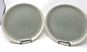 Baum Hearth  2pc Stoneware Hearth Seafoam Dinner Plates - Picture 1 of 6