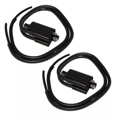 Set of 2 Ignition Coils for Yamaha FZ-1 FZ1 FZS1000 Fzs 1000 Fzs1 2001-2003 - Image 1 of 2