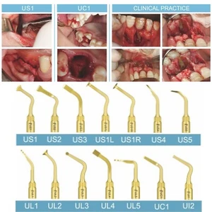 Scaler piezoelettrico dentale chirurgia ossea ad ultrasuoni punte a U adatto a NSK Woodpecker US-II LED - Foto 1 di 44