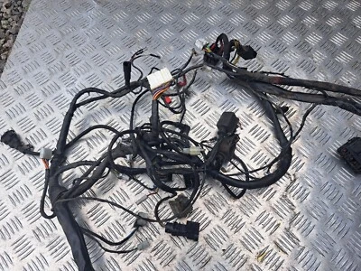 Piaggio X EVO 125 Wiring Loom Main Harness. 2013 - Image 1 of 4