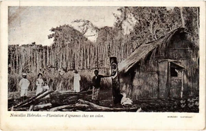 PC NEW HEBRIDES, PLANTATION D'AGNAMES, Vintage Postcard (b53564) - Imagen 1 de 2