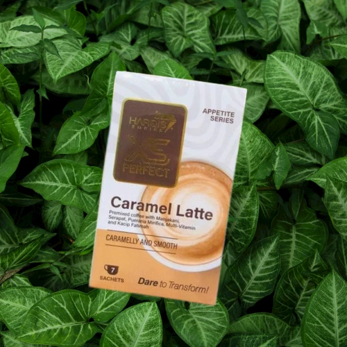 CARAMEL LATTE XS PERFECT DRINKS (WEIGHT MANAGEMENT) - Image 1 of 4