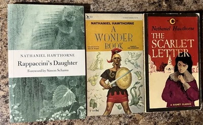3 Book Lot Nathaniel Hawthorne Paperback Scarlet Letter A Wonder Book Daughter - Image 1 of 3