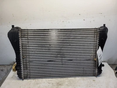 Radiador VIN construido en Alemania con primer dígito limitado compatible con 09-18 TIGUAN 1679016 Foto 1 de 4