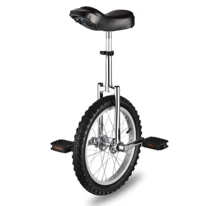 16 In Wheel Unicycle Skidproof Mountain Tire Cycling Sports Exercise Silver - Imagen 1 de 9