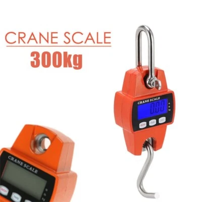 Crane Scale 300kg 0.1kg Portable Hook Hanging Scale Digital Electronic - image 1 of 4