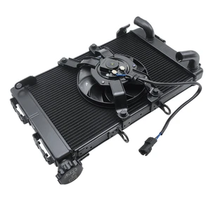 Radiatore OEM T2106101 Triumph TIGER SPORT 660 - Imagen 1 de 2