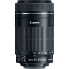 Canon EF-S 55-250mm f/4-5.6 IS STM - Review / Test Report