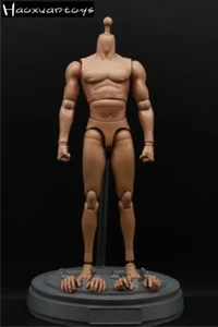 Figura masculina 1/6 modelo corporal estándar músculo 12" muñeca Haoxuantoys juguete acción - Imagen 1 de 4