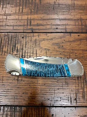 Poni pintado Buck 112 Prater níquel plata turquesa y coral cerebral azul 2013 Foto 1 de 4