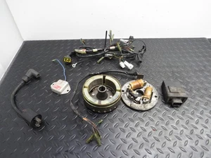 03-06 YAMAHA BLASTER 200 YFS 200 OEM FACTORY CDI STATOR FLYWHEEL COIL WIRING - Picture 1 of 22