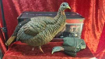 AVIAN-X HDR HEN (ROA005559) - Image 1 of 3