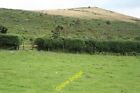 Photo 6X4 North Bovey Towards Easdon Tor Dartmoor Ponies Are Barely Visi C2012