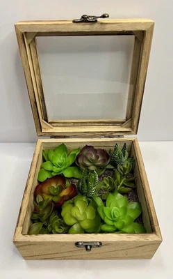 9 Piezas Plantas Suculentas Artificiales En Preciosa Caja de Madera con Tapa de Vidrio con Cerradura Foto 1 de 4