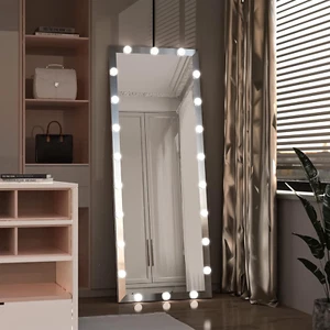 65" X 24" Full Length Mirror with Lights and Stand Touch Control - Wall Mounted - Picture 1 of 6
