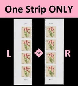 US 5900 Flowers Red Tulips 5c plate strip 4 MNH 2024 - Picture 1 of 1