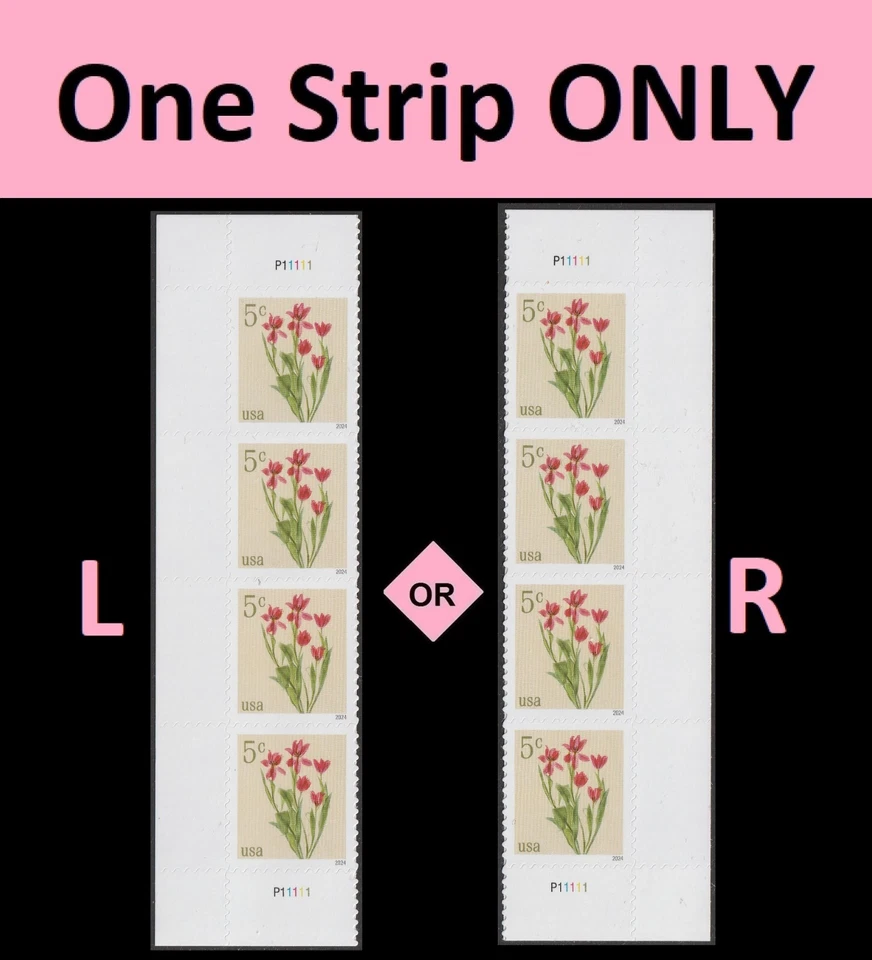 US 5900 Flowers Red Tulips 5c plate strip 4 MNH 2024 - Image 1 of 1