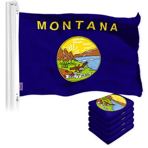 G128 5 Pack: Montana MT State Flag 3x5 Ft Printed 150D Poly, Indoor/Outdoor - Picture 1 of 5
